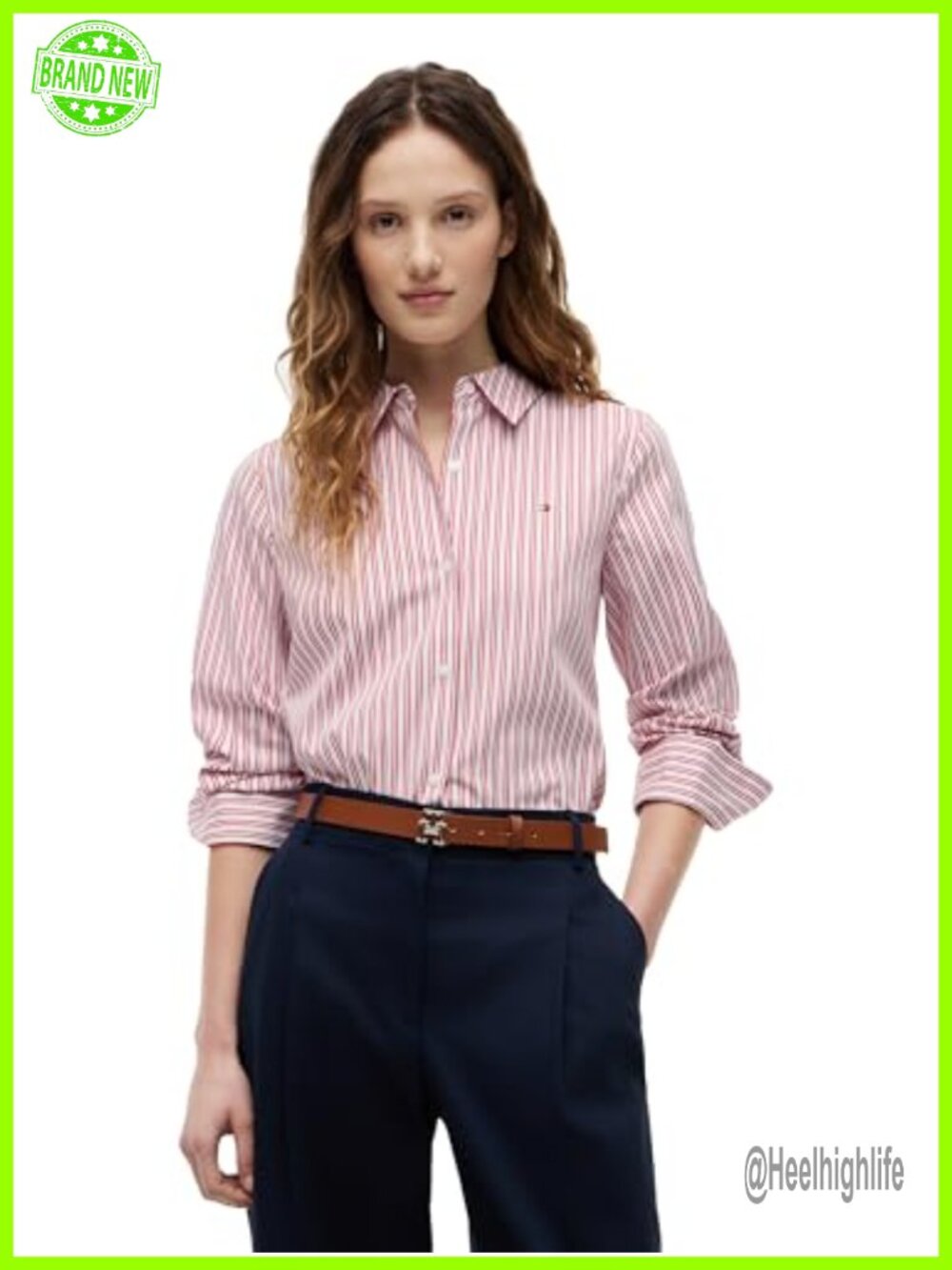 Cotton Long Sleeve Button Down Shirt Regular Fit Classic